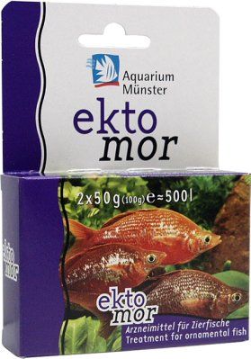 Aquarium Münster - Ektomor