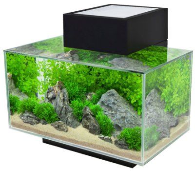 Fluval Edge LED 23L - Svart