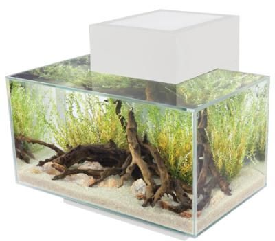 Fluval Edge LED 23L - Hvit