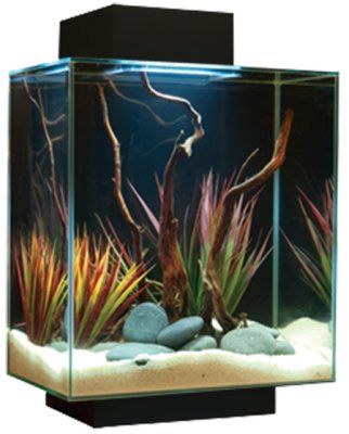 Fluval Edge LED 46L - Svart
