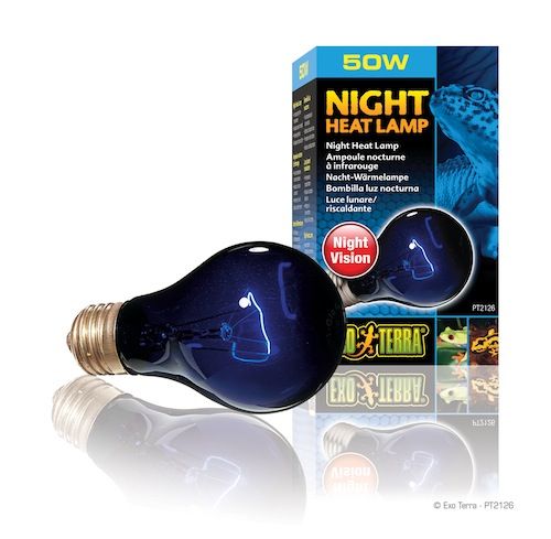 Exo Terra Night Glo 50W