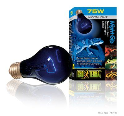 Exo Terra Night Glo 75W