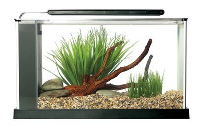 Fluval Spec V LED 19L - Svart