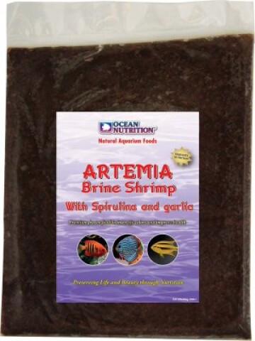 Artemia 500g