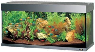 Juwel Rio 180 LED - Svart