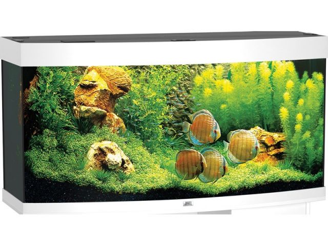 Juwel Vision 260 LED - Hvit