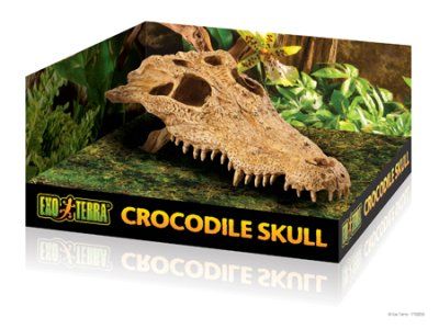 Exo Terra Crocodile Skull