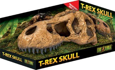 Exo Terra T-Rex Skull