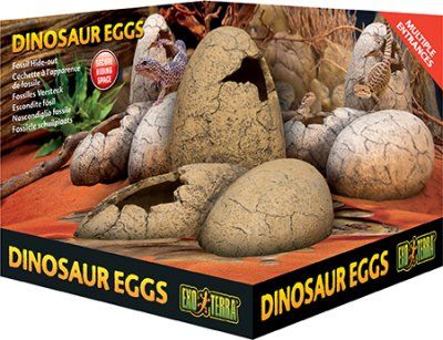 Exo Terra Dinosaur Eggs