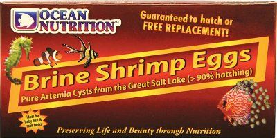 ON Brine Shrimp Eggs 20g