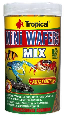 Tropical Mini Wafers Mix 100ml