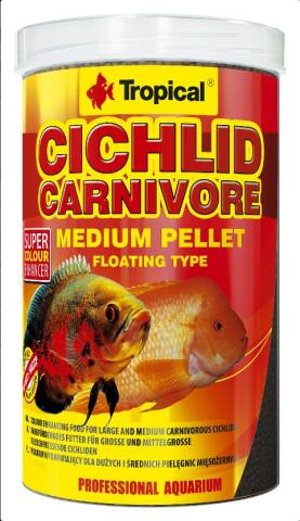 Tropical Cichlid Carnivore M 1L