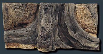  Back to Nature Mini Amazonas 80x40cm  
