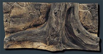 Back to Nature Mini Amazonas 100x50cm 