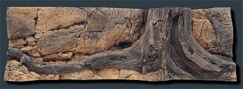 Back to Nature Mini Amazonas 150x50cm 