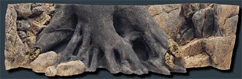 Back to Nature Amazonas 200x60cm 